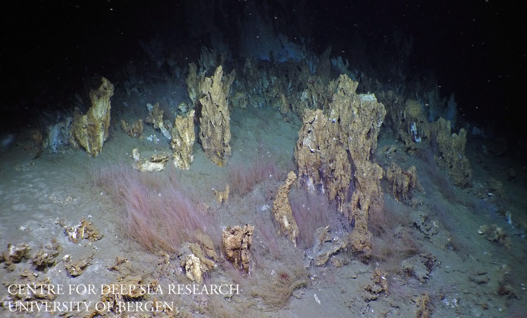 An image showing barite chimneys and tubeworm aggregations (worm forests) in the Barite Field of the Loki's Castle hydrothermal vent.