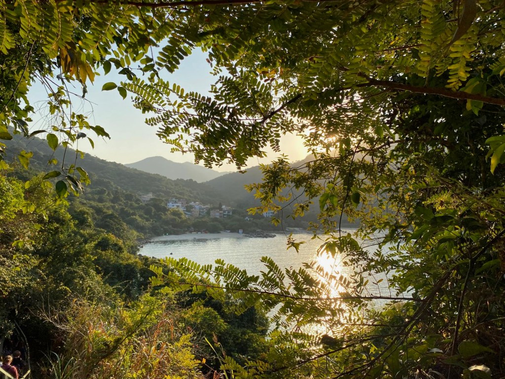 A sunny bay surrounded by green leaves.