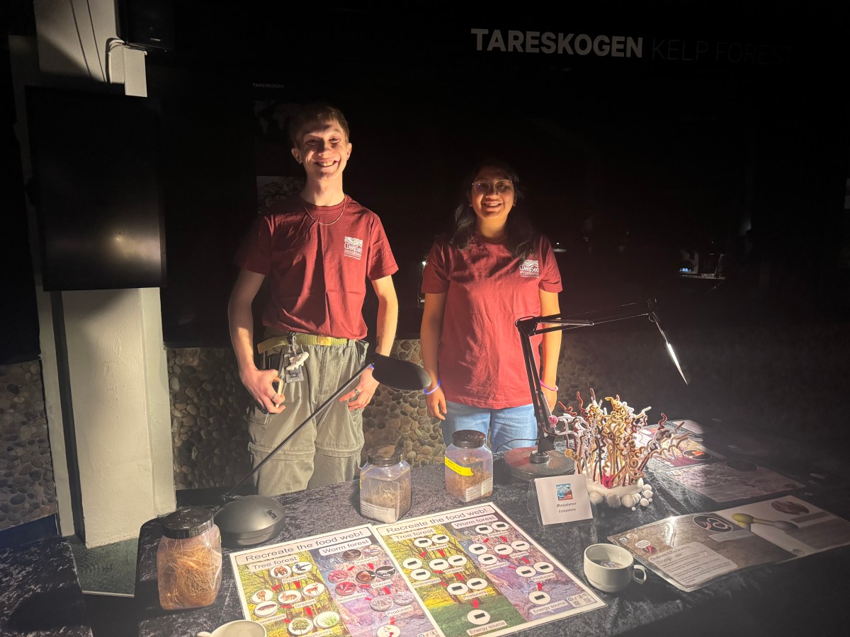 Night at the&nbsp;aquarium